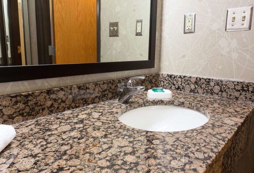 酒店 Drury Inn & Suites San Antonio North Stone Oak