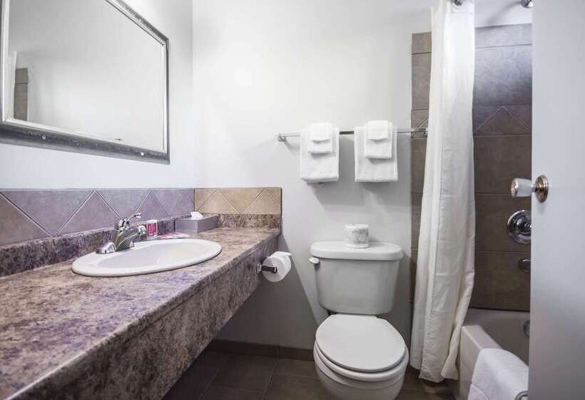 Отель Econo Lodge