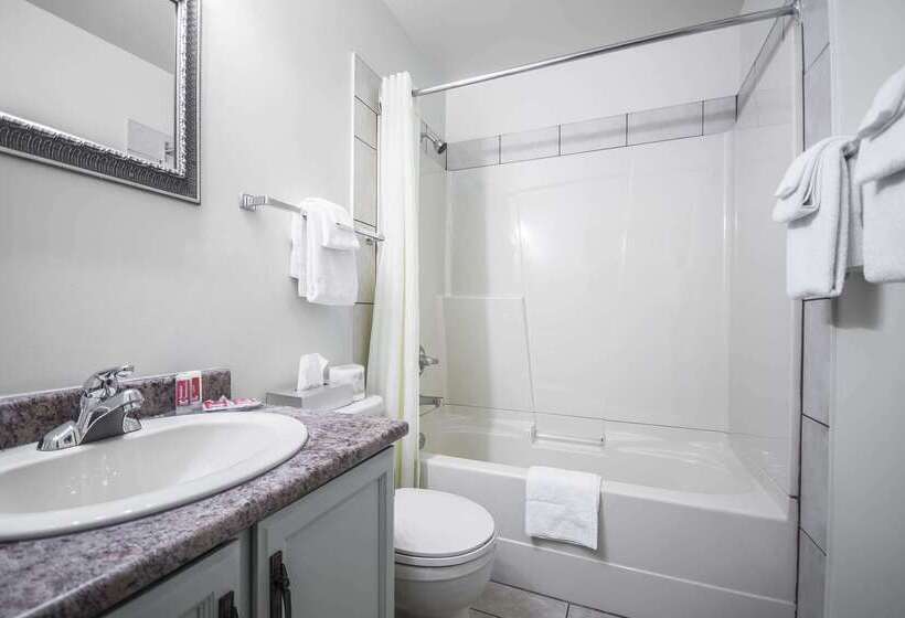 Отель Econo Lodge