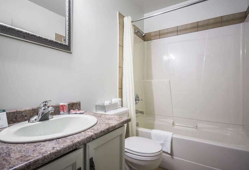 Отель Econo Lodge