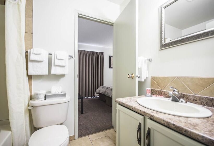 Отель Econo Lodge