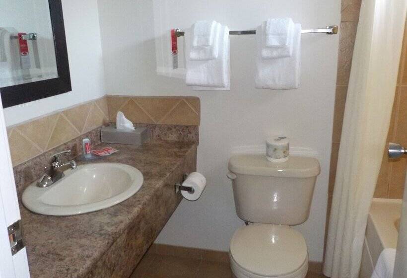 Отель Econo Lodge