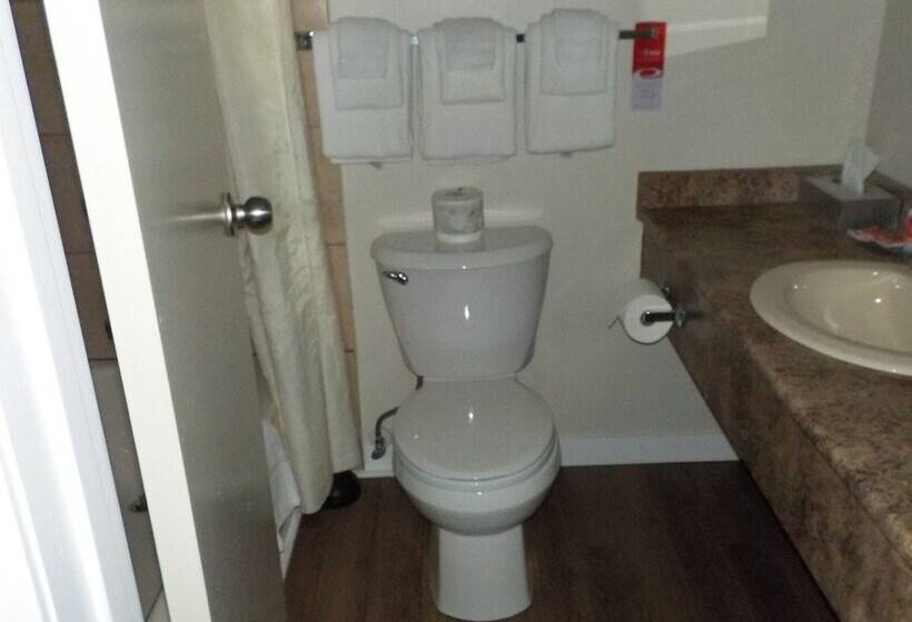 Отель Econo Lodge