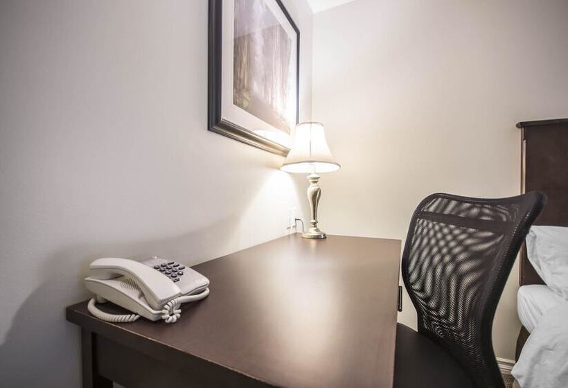 Отель Econo Lodge