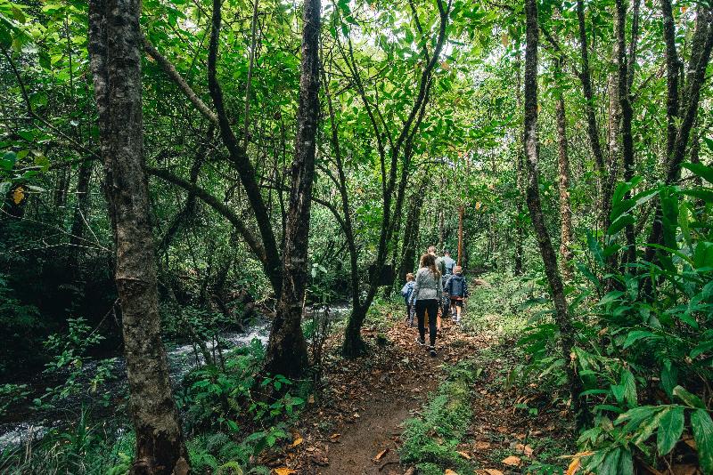 فندق El Silencio Lodge And Spa