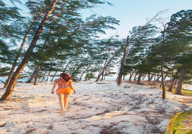 בית מלון כפרי Fantasy Island Dive Resort