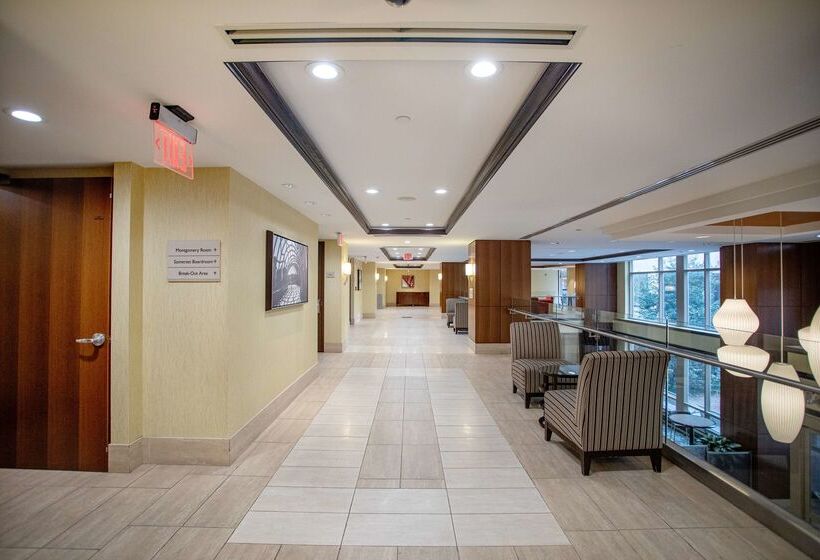 ホテル Hilton Garden Inn Bethesda Downtown