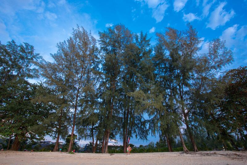 酒店 Mai Khaolak Beach Resort & Spa Tuiblue Mai Khaolak