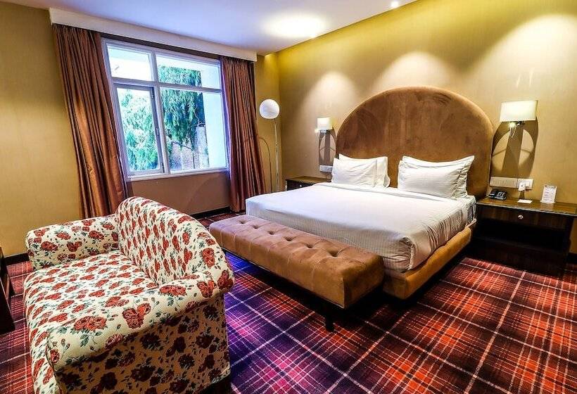 فندق Piccadily Raipur