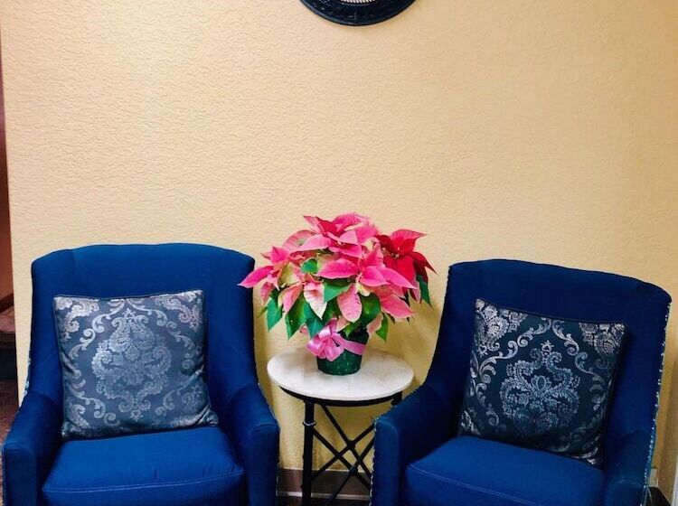 ホテル Qc Stay Inn