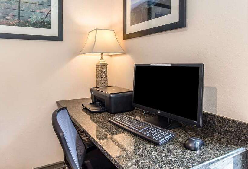 酒店 Quality Inn & Suites