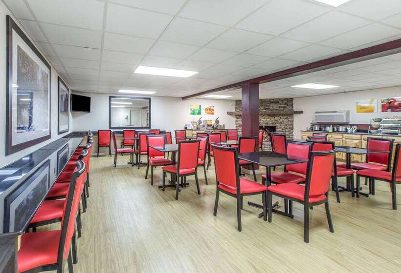 酒店 Quality Inn & Suites