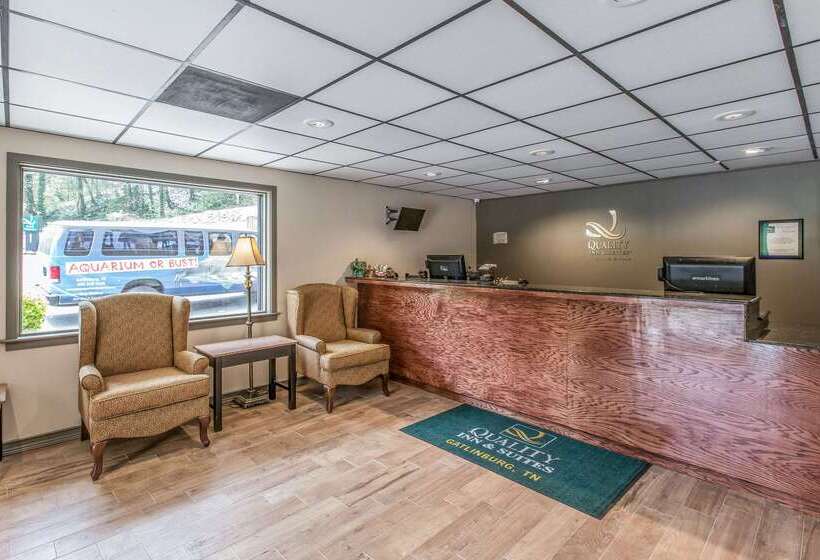 酒店 Quality Inn & Suites