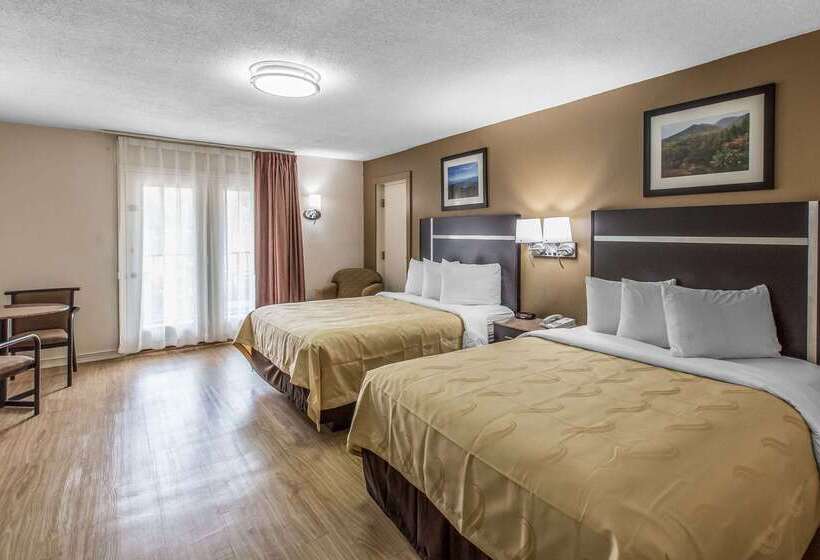 酒店 Quality Inn & Suites