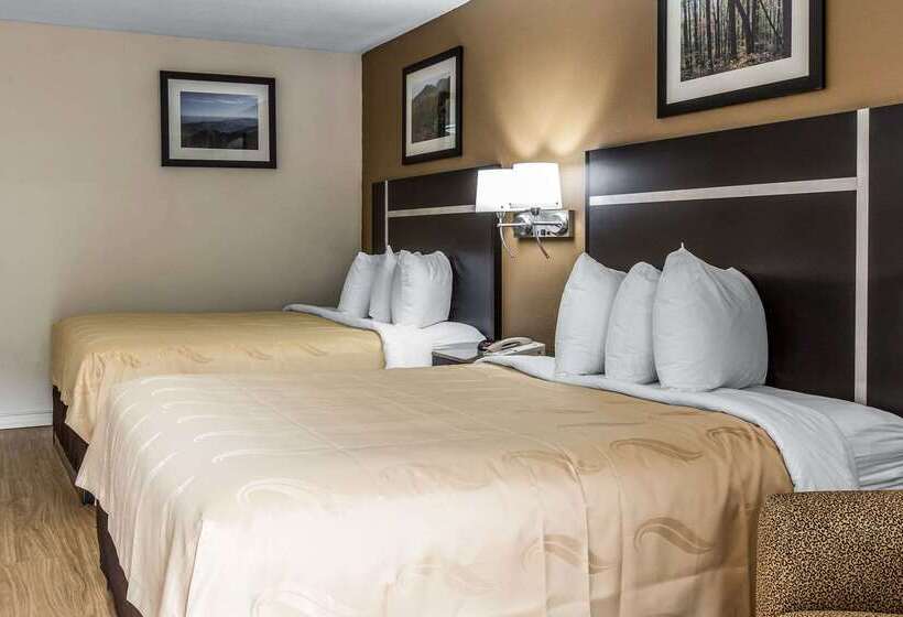 酒店 Quality Inn & Suites