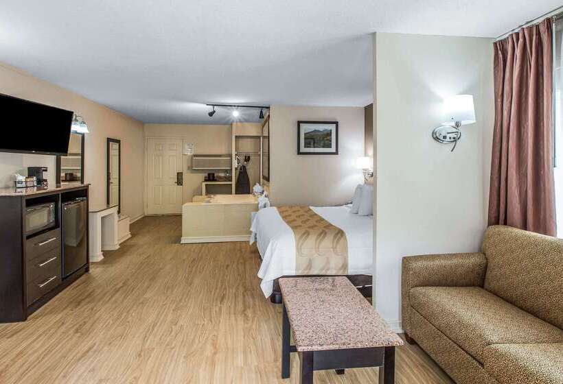 酒店 Quality Inn & Suites