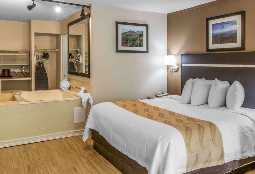 酒店 Quality Inn & Suites