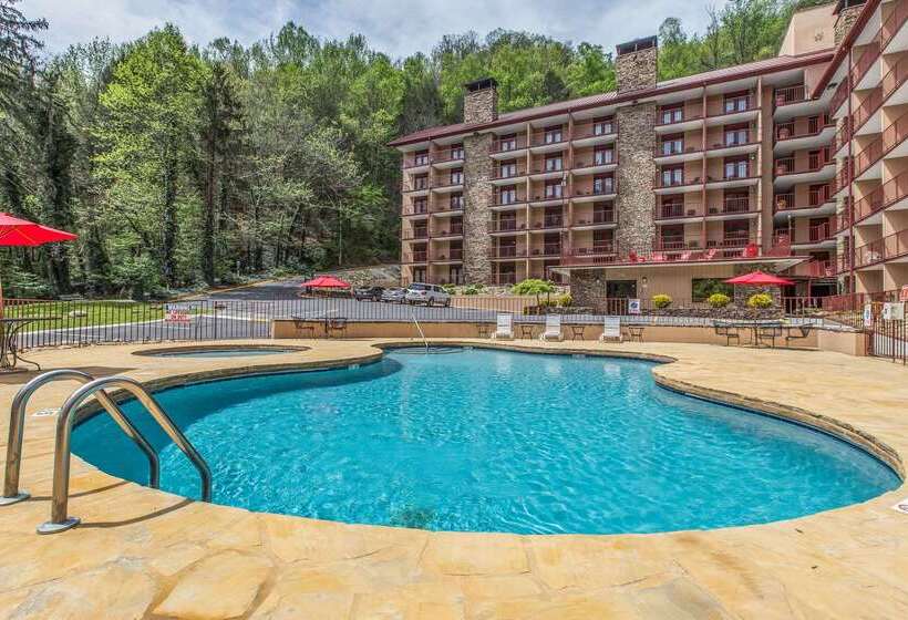 酒店 Quality Inn & Suites