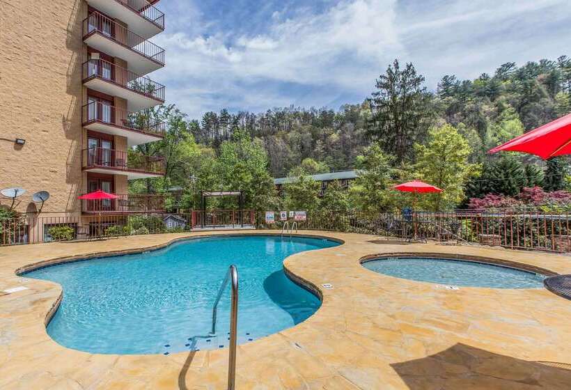 酒店 Quality Inn & Suites