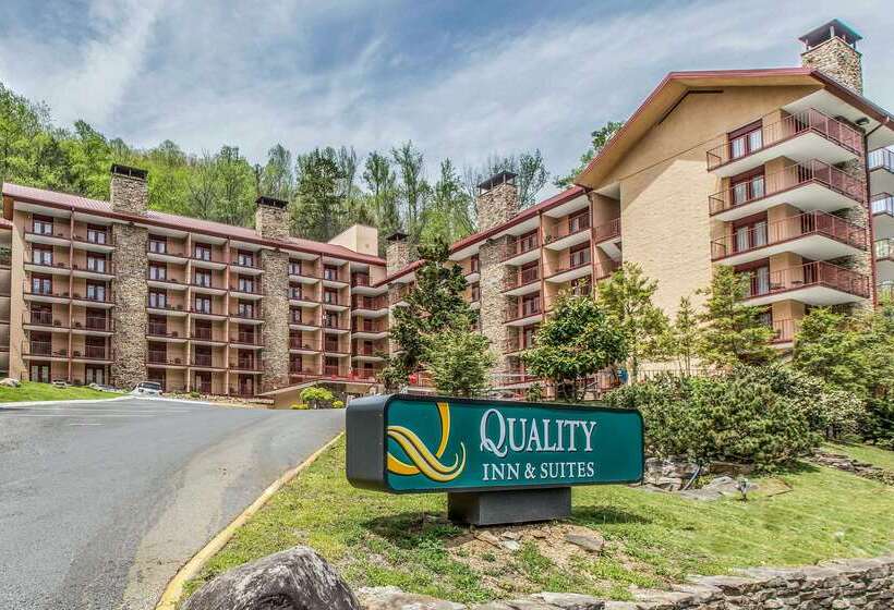 酒店 Quality Inn & Suites