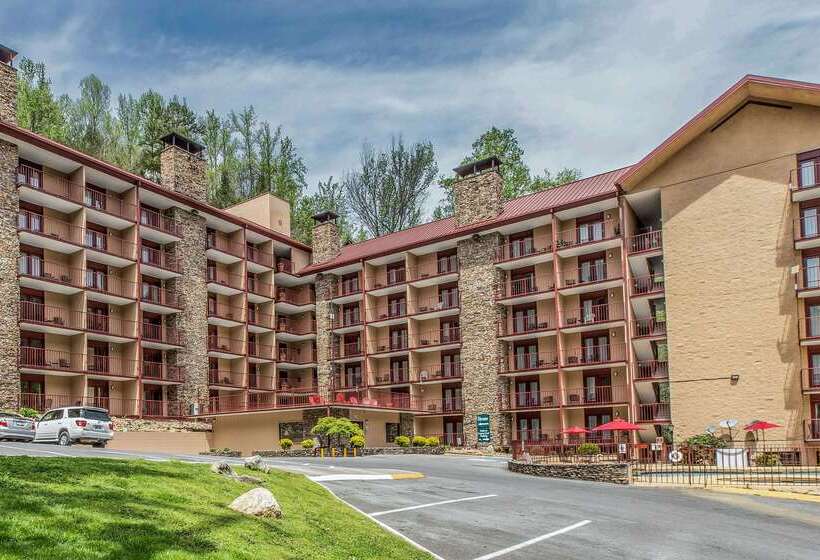 酒店 Quality Inn & Suites