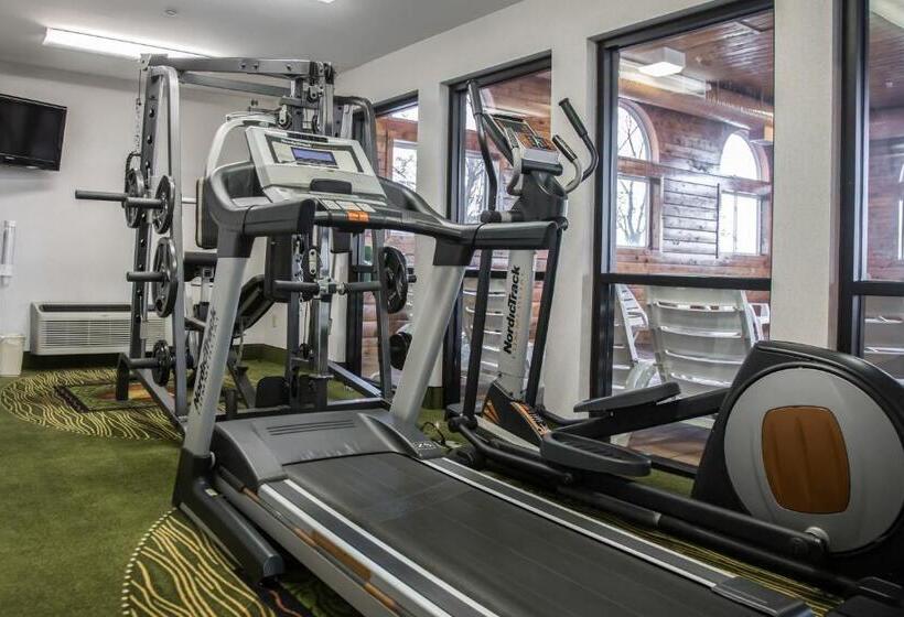 酒店 Quality Inn & Suites Loves Park Near Rockford