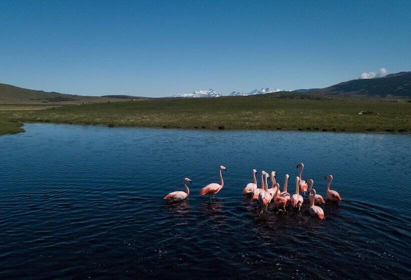 فندق Remota Patagonia Lodge