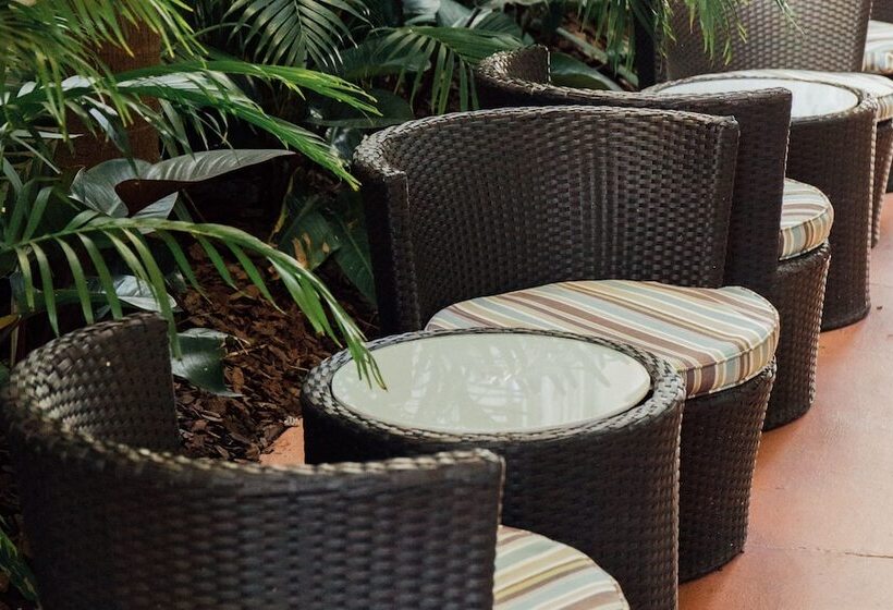 فندق Riviere South Beach