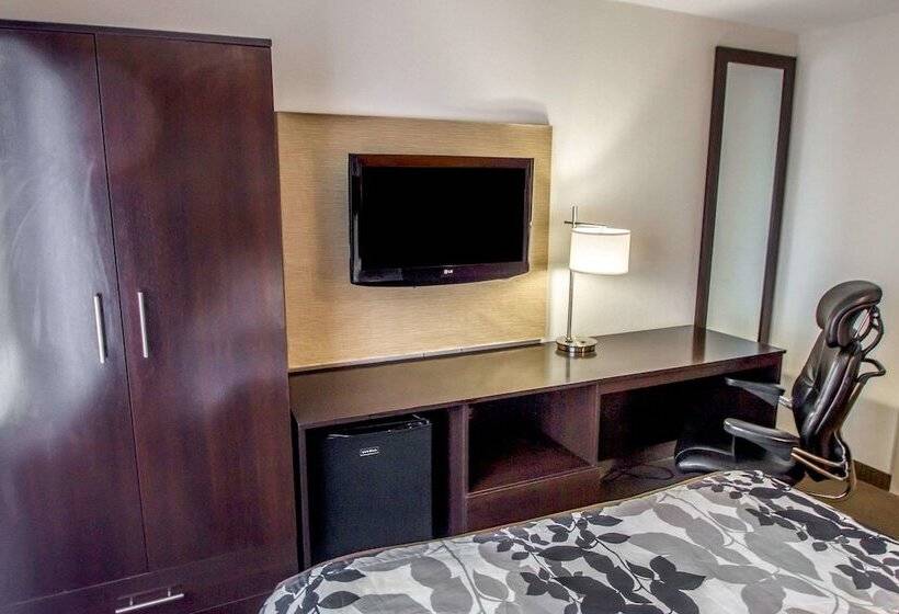 בית מלון כפרי Sleep Inn Jfk Airport Rockaway Blvd