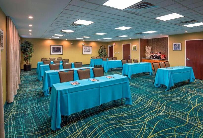 فندق Springhill Suites Laredo