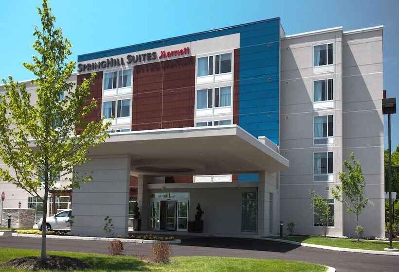 ホテル Springhill Suites By Marriott Philadelphia Valley Forge/king Of Prussia