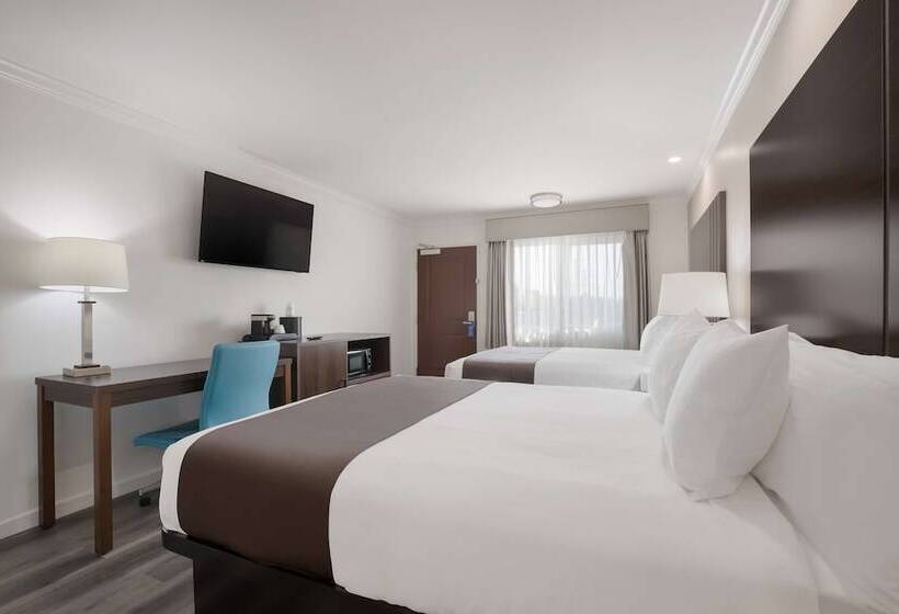 Surestay Plus Hotel By Best Western Upland   Ontario North