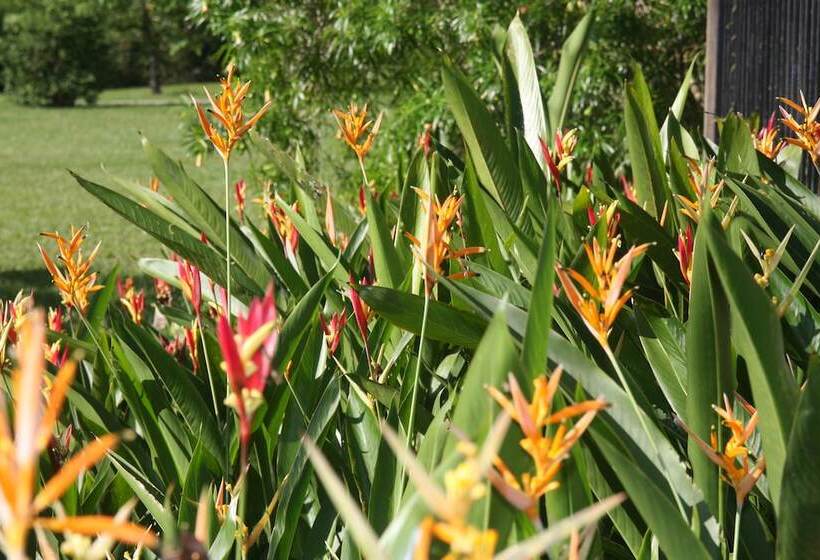 فندق Tanager Rainforest Lodge