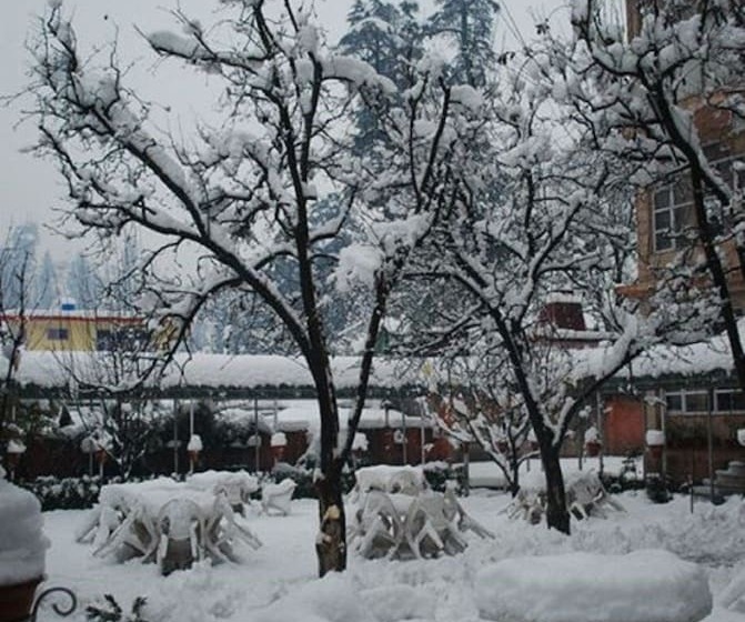 Bravia Hotel Manali Inn