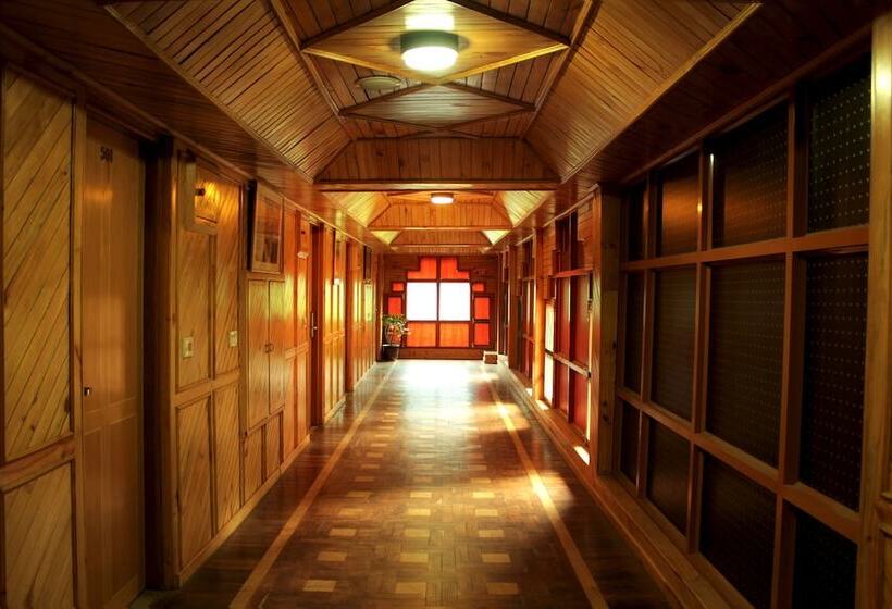 Bravia Hotel Manali Inn