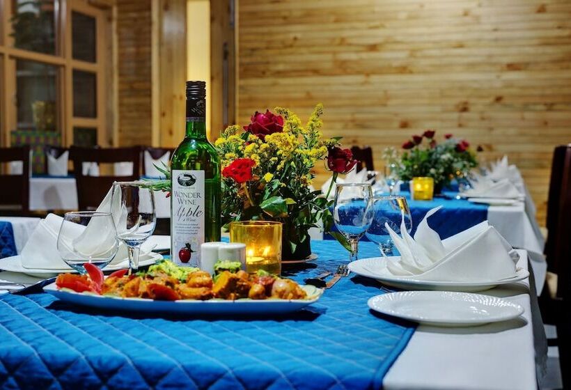 Bravia Hotel Manali Inn