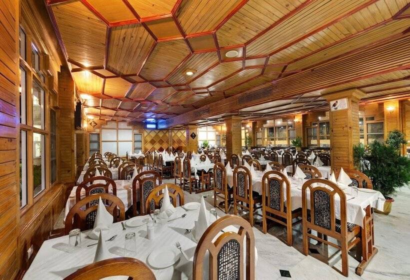 Bravia Hotel Manali Inn