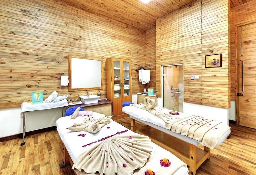 Bravia Hotel Manali Inn