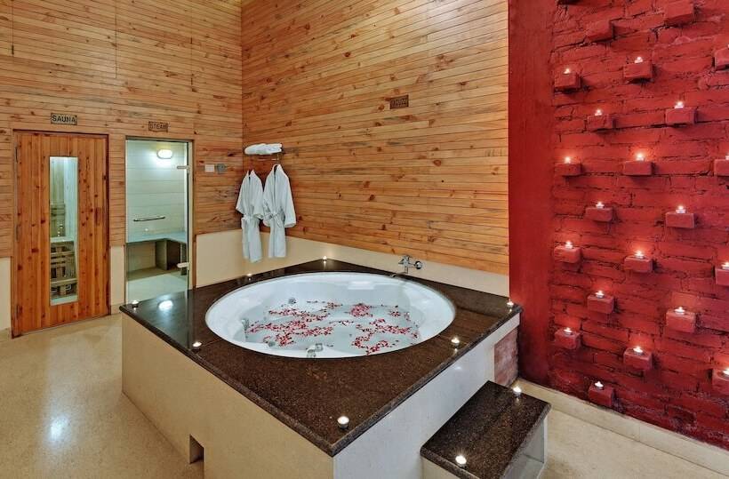 Bravia Hotel Manali Inn