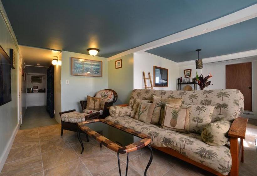 فندق Wailuku Guesthouse