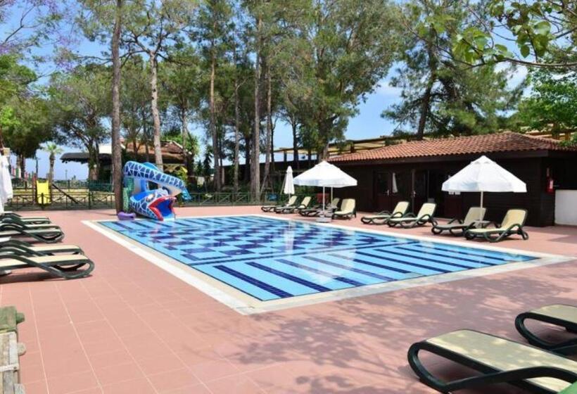 리조트 Champion Holiday Village