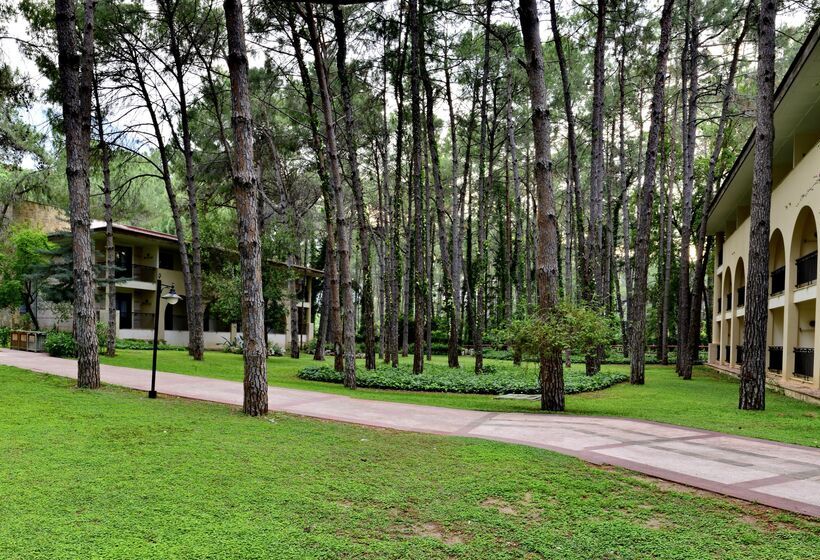 리조트 Champion Holiday Village