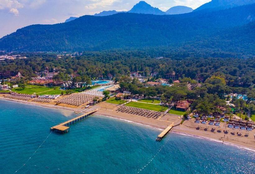 리조트 Champion Holiday Village