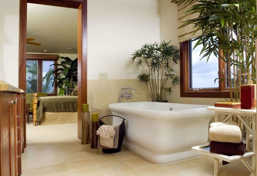 リゾートホテル Wailea Beach Villas