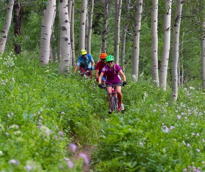 Teewinot Lodge By Grand Targhee Resort