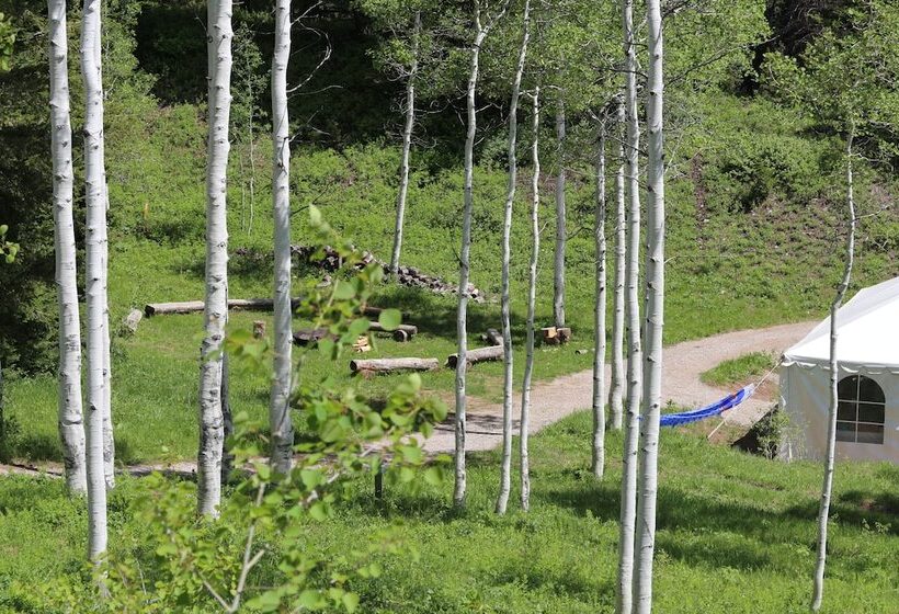 Teewinot Lodge By Grand Targhee Resort