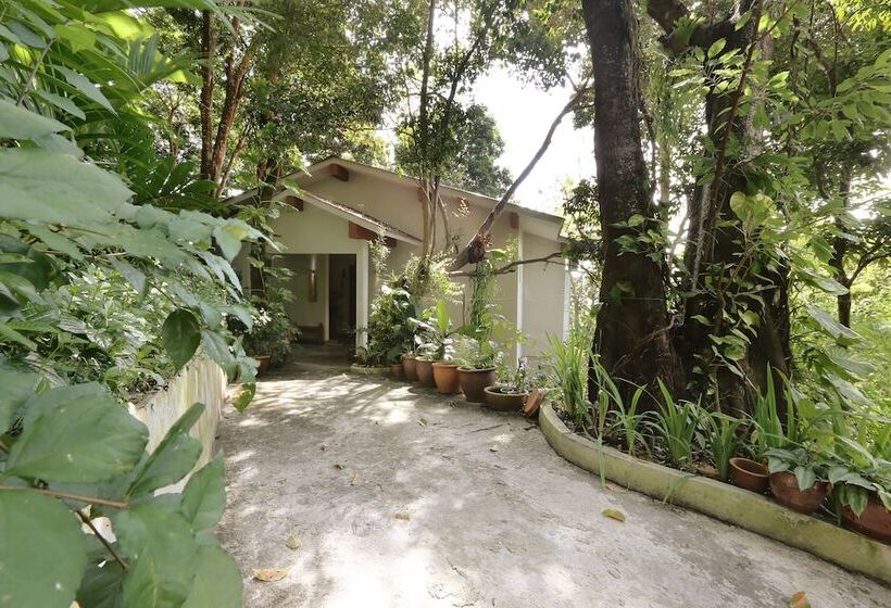 ホテル Ambong Rainforest Retreat