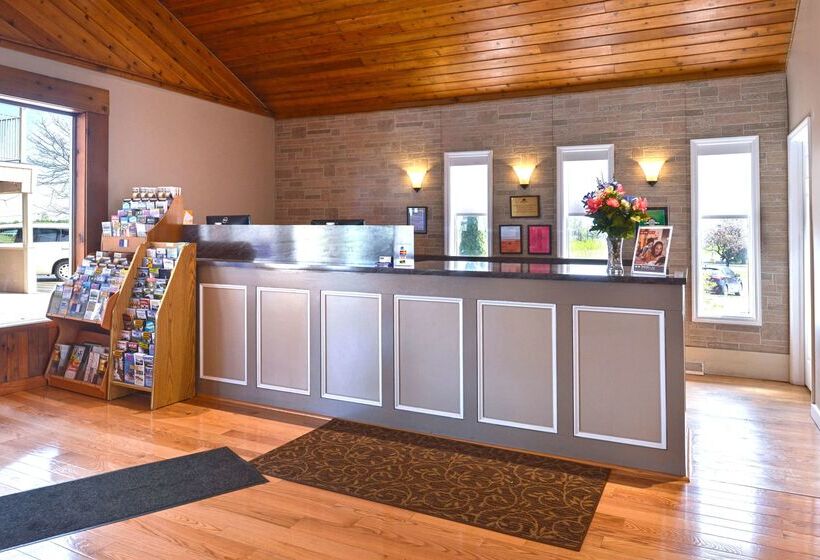 酒店 Americas Best Value Inn Plattsburgh