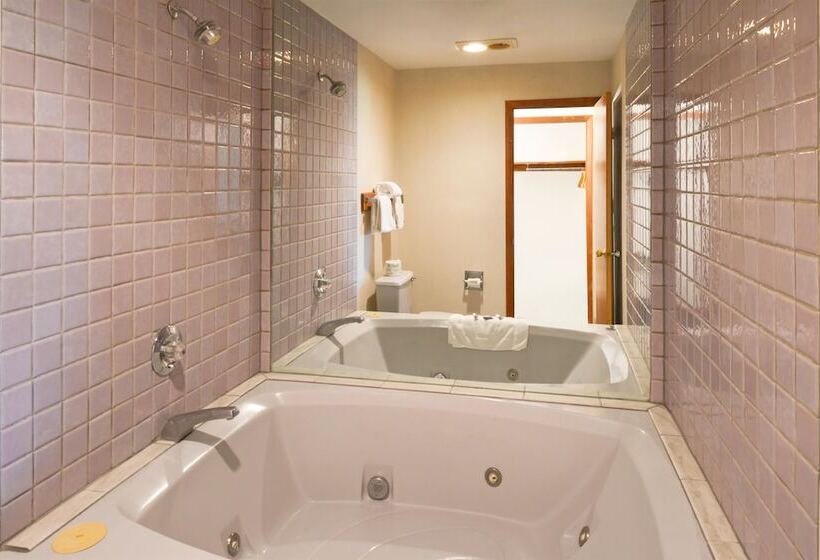 酒店 Americas Best Value Inn Plattsburgh