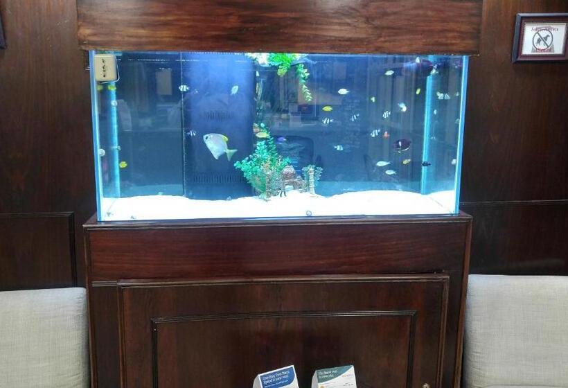 בית מלון כפרי Belmont Inn & Suites